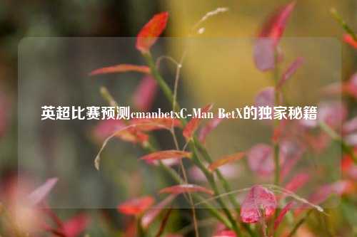 英超比赛预测cmanbetxC-Man BetX的独家秘籍