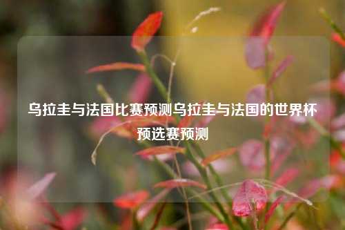 乌拉圭与法国比赛预测乌拉圭与法国的世界杯预选赛预测