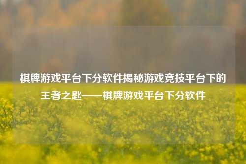棋牌游戏平台下分软件揭秘游戏竞技平台下的王者之匙——棋牌游戏平台下分软件