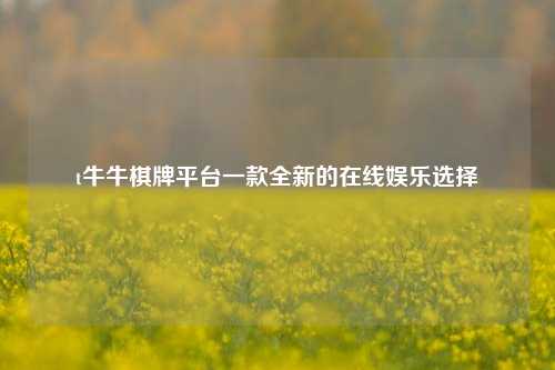 t牛牛棋牌平台一款全新的在线娱乐选择