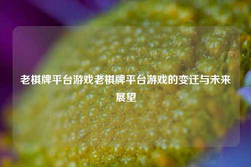 老棋牌平台游戏老棋牌平台游戏的变迁与未来展望