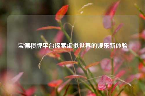 宝德棋牌平台探索虚拟世界的娱乐新体验