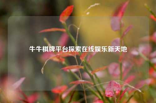 牛牛棋牌平台探索在线娱乐新天地