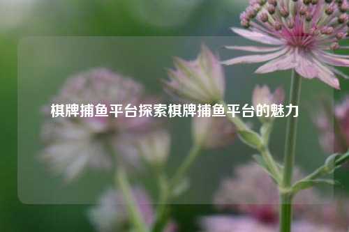 棋牌捕鱼平台探索棋牌捕鱼平台的魅力