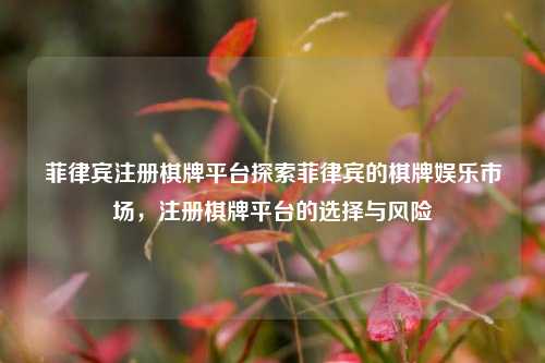菲律宾注册棋牌平台探索菲律宾的棋牌娱乐市场，注册棋牌平台的选择与风险