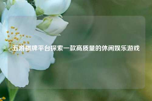 五游棋牌平台探索一款高质量的休闲娱乐游戏
