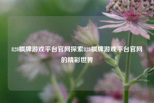 828棋牌游戏平台官网探索828棋牌游戏平台官网的精彩世界