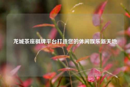 龙城茶座棋牌平台打造您的休闲娱乐新天地