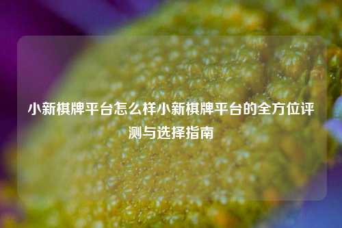 小新棋牌平台怎么样小新棋牌平台的全方位评测与选择指南