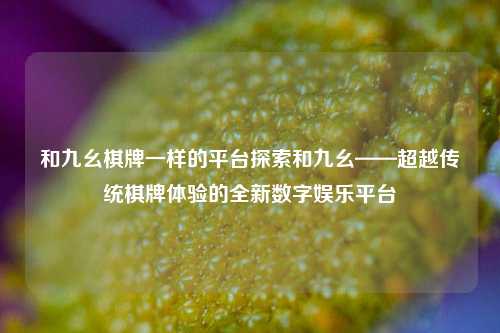 和九幺棋牌一样的平台探索和九幺——超越传统棋牌体验的全新数字娱乐平台