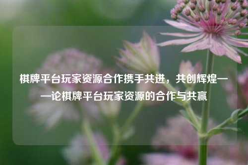 棋牌平台玩家资源合作携手共进，共创辉煌——论棋牌平台玩家资源的合作与共赢