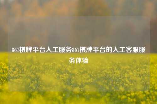 867棋牌平台人工服务867棋牌平台的人工客服服务体验