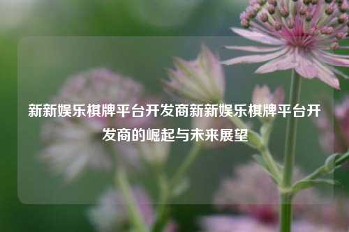 新新娱乐棋牌平台开发商新新娱乐棋牌平台开发商的崛起与未来展望