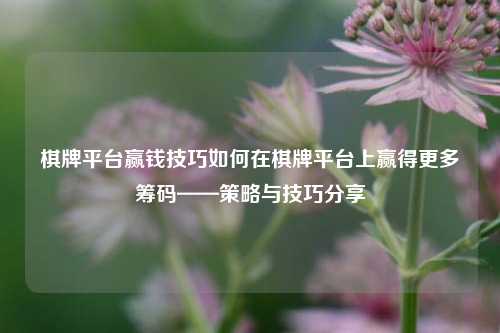 棋牌平台赢钱技巧如何在棋牌平台上赢得更多筹码——策略与技巧分享