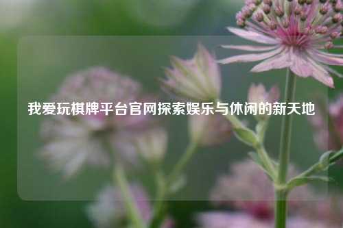 我爱玩棋牌平台官网探索娱乐与休闲的新天地