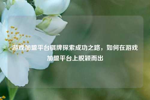 游戏加盟平台棋牌探索成功之路，如何在游戏加盟平台上脱颖而出