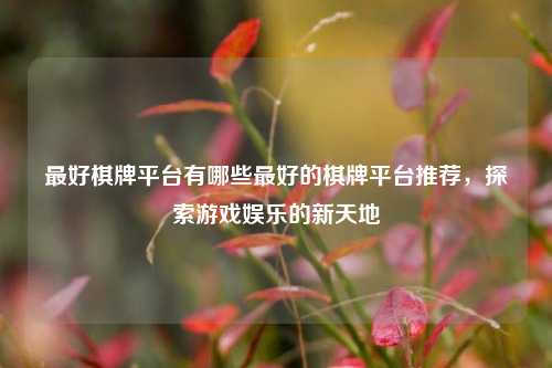 最好棋牌平台有哪些最好的棋牌平台推荐，探索游戏娱乐的新天地
