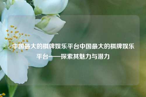 中国最大的棋牌娱乐平台中国最大的棋牌娱乐平台——探索其魅力与潜力