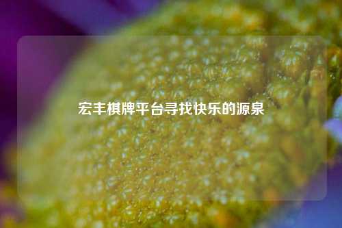 宏丰棋牌平台寻找快乐的源泉