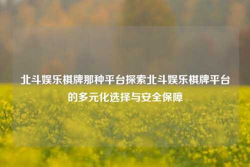 北斗娱乐棋牌那种平台探索北斗娱乐棋牌平台的多元化选择与安全保障
