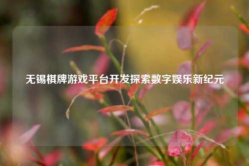 无锡棋牌游戏平台开发探索数字娱乐新纪元