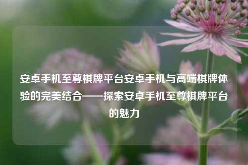 安卓手机至尊棋牌平台安卓手机与高端棋牌体验的完美结合——探索安卓手机至尊棋牌平台的魅力