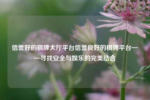 信誉好的棋牌大厅平台信誉良好的棋牌平台——寻找安全与娱乐的完美结合