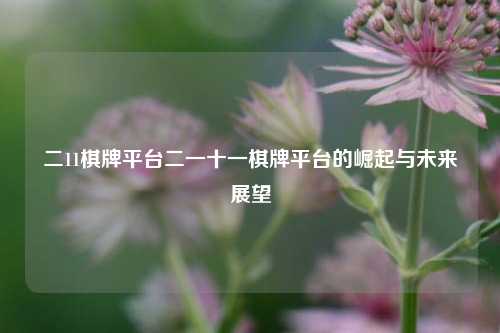 二11棋牌平台二一十一棋牌平台的崛起与未来展望