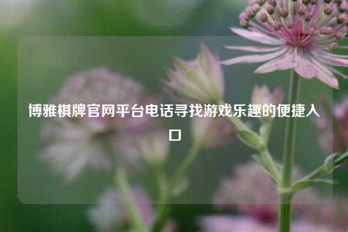 博雅棋牌官网平台电话寻找游戏乐趣的便捷入口