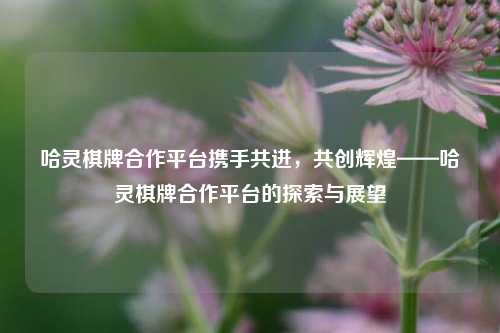 哈灵棋牌合作平台携手共进，共创辉煌——哈灵棋牌合作平台的探索与展望