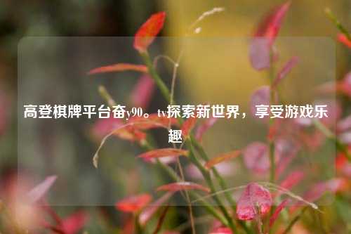高登棋牌平台奋y90。tv探索新世界，享受游戏乐趣