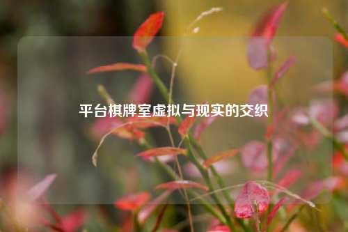 平台棋牌室虚拟与现实的交织