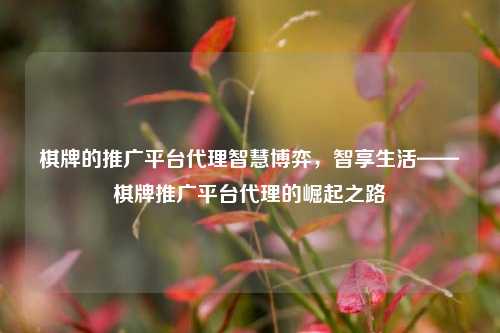 棋牌的推广平台代理智慧博弈，智享生活——棋牌推广平台代理的崛起之路