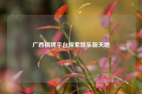 广西棋牌平台探索娱乐新天地