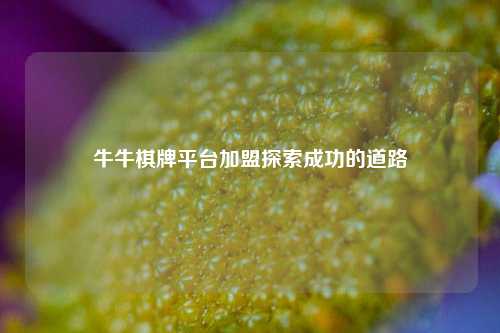 牛牛棋牌平台加盟探索成功的道路