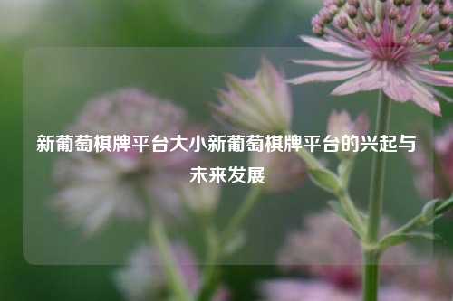 新葡萄棋牌平台大小新葡萄棋牌平台的兴起与未来发展