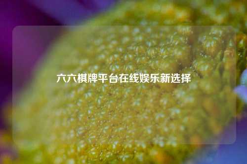六六棋牌平台在线娱乐新选择