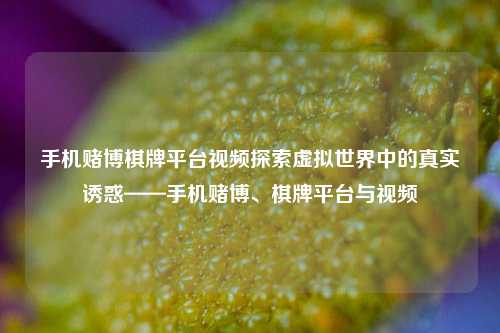 手机赌博棋牌平台视频探索虚拟世界中的真实诱惑——手机赌博、棋牌平台与视频