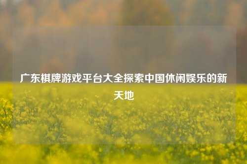 广东棋牌游戏平台大全探索中国休闲娱乐的新天地