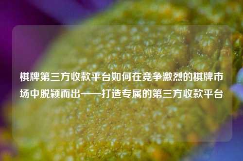 棋牌第三方收款平台如何在竞争激烈的棋牌市场中脱颖而出——打造专属的第三方收款平台