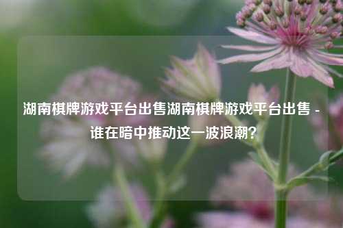 湖南棋牌游戏平台出售湖南棋牌游戏平台出售 - 谁在暗中推动这一波浪潮？