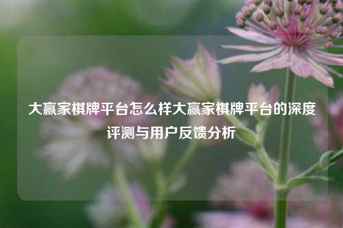 大赢家棋牌平台怎么样大赢家棋牌平台的深度评测与用户反馈分析