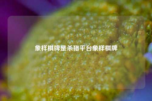 象样棋牌是杀猪平台象样棋牌
