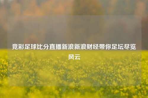 竞彩足球比分直播新浪新浪财经带你足坛尽览风云