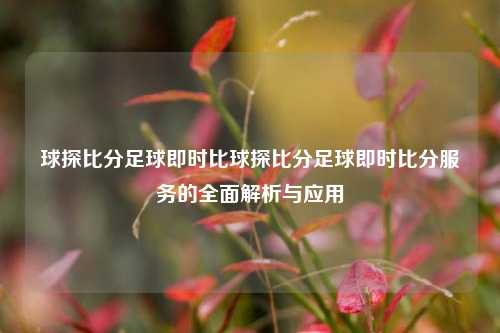球探比分足球即时比球探比分足球即时比分服务的全面解析与应用
