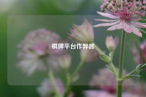 棋牌平台作弊器