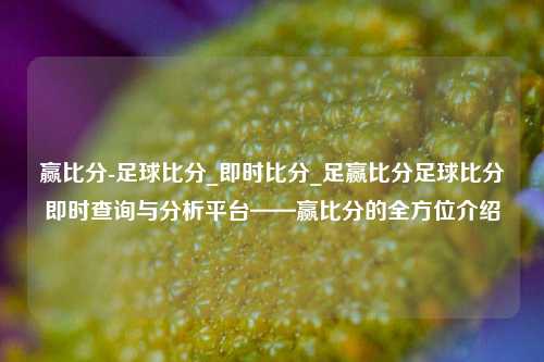 赢比分-足球比分_即时比分_足赢比分足球比分即时查询与分析平台——赢比分的全方位介绍