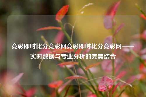 竞彩即时比分竞彩网竞彩即时比分竞彩网——实时数据与专业分析的完美结合