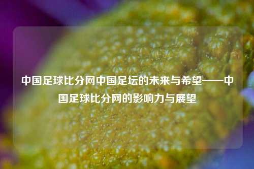 中国足球比分网中国足坛的未来与希望——中国足球比分网的影响力与展望