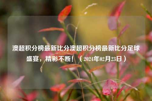 澳超积分榜最新比分澳超积分榜最新比分足球盛宴，精彩不断！（2024年02月23日）